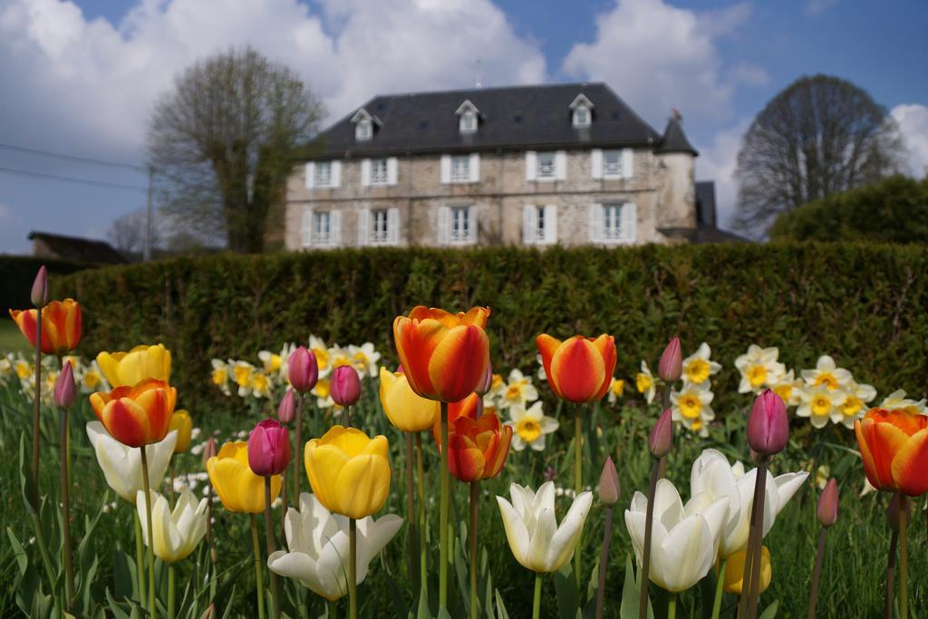 Chateau De Savennes - Caveau De Sabrage Exterior foto